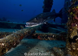 Smile!! at the Wit Concrete Wreck in ST Thomas by Carlos Pérez 
